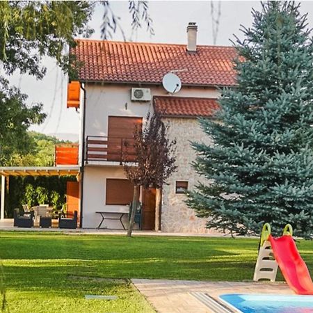 Villa Leko Dream House Cetina Kültér fotó