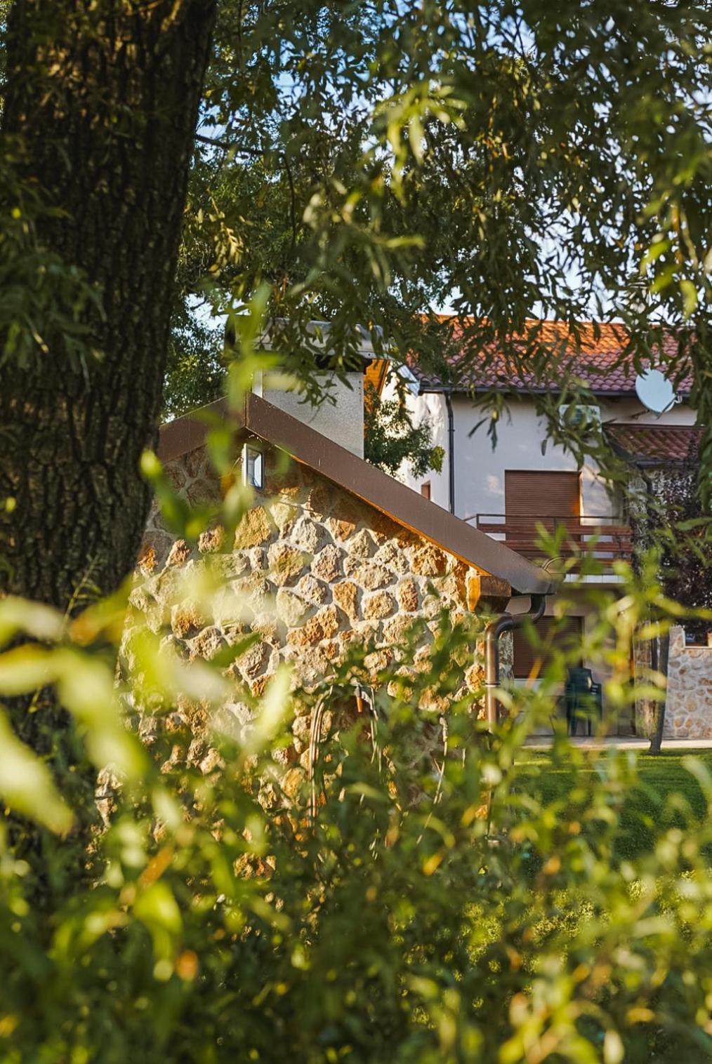 Villa Leko Dream House Cetina Kültér fotó